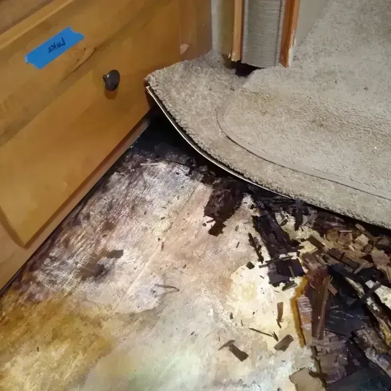 Wood Floor Water Damage in Snow Hill, MD